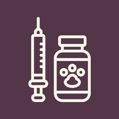 Pet Vaccines - syringe and a dog's paw