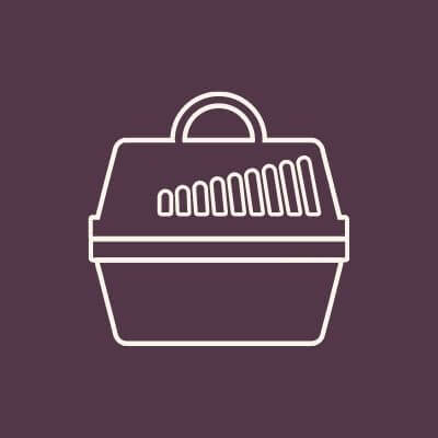 Pain Management - line icon of a basket