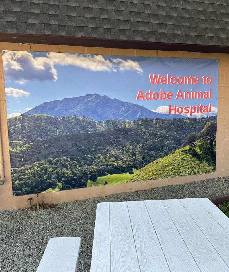 Welcome sign for Adobe Animal Hospital