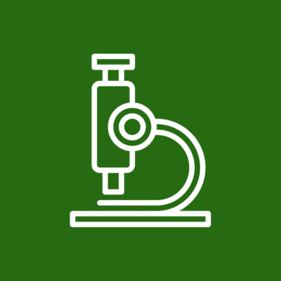 Lab Work - icon of a monitor with an ecg line