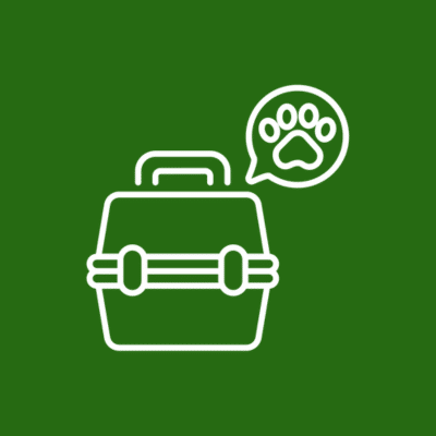 Pain Management - line icon of a basket