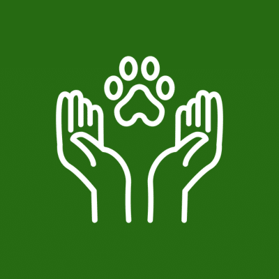 Adobe Animal Hospital - contact