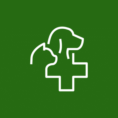 Medical cross with a paw print