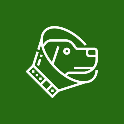 Pet Surgery - dog's head in a bucket