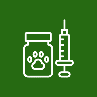 Pet Vaccines - syringe and a dog's paw