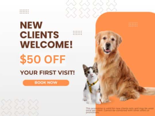 50 OFF Graphics NCP